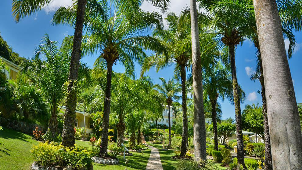 Blue Horizons Garden Resort